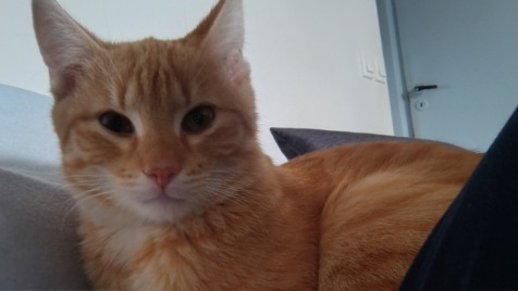 Zdjęcie aktualizacji 158 678