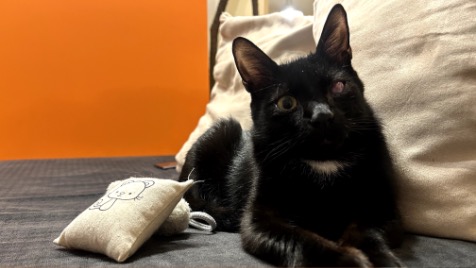 Zdjęcie aktualizacji 158 918