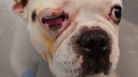 Zdjęcie aktualizacji 159 199