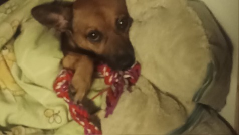 Zdjęcie aktualizacji 159 480