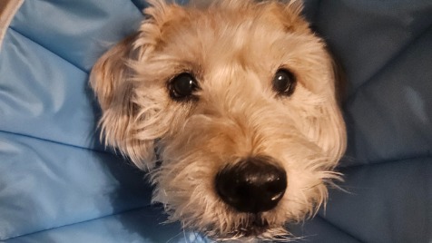 Zdjęcie aktualizacji 159 583