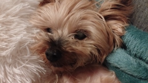 Zdjęcie aktualizacji 159 604