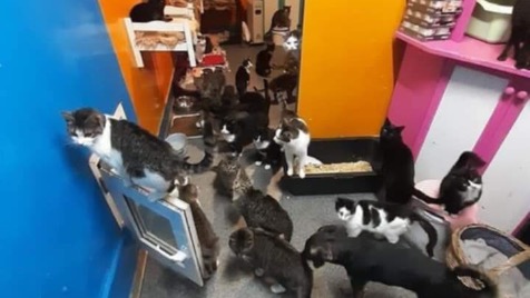 Zdjęcie aktualizacji 159 846