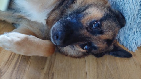 Zdjęcie aktualizacji 159 911