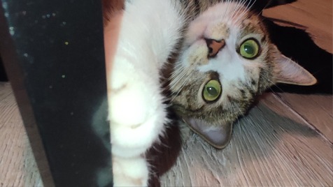 Zdjęcie aktualizacji 160 009