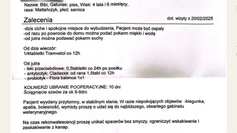 Zdjęcie aktualizacji 160 022