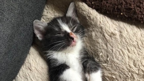 Zdjęcie aktualizacji 160 120