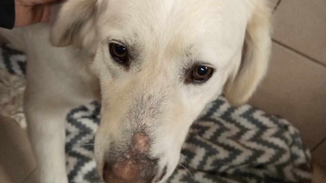 Zdjęcie aktualizacji 160 404