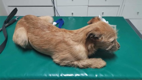 Zdjęcie aktualizacji 160 713