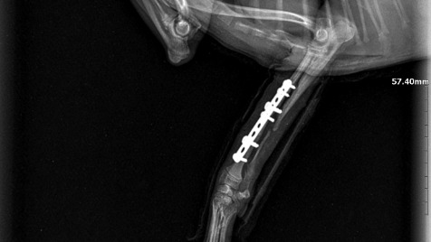 Zdjęcie aktualizacji 161 019