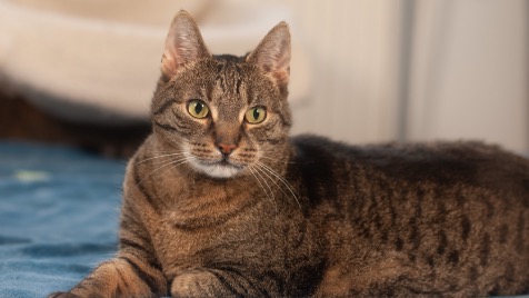 Zdjęcie aktualizacji 161 026