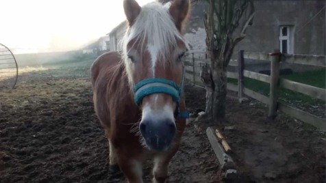 Zdjęcie aktualizacji 161 126