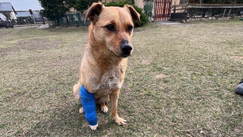 Zdjęcie aktualizacji 161 154