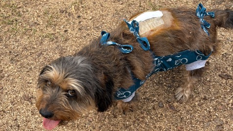 Zdjęcie aktualizacji 161 225