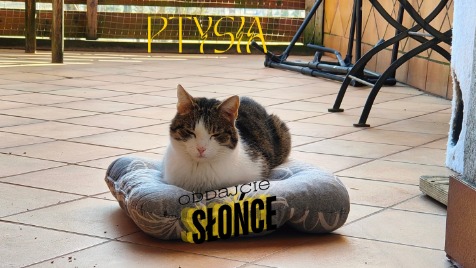 Zdjęcie aktualizacji 161 345