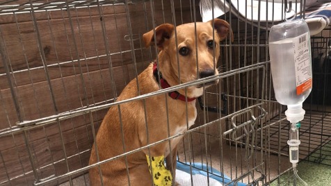 Zdjęcie aktualizacji 161 356