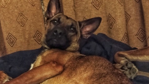 Zdjęcie aktualizacji 161 430