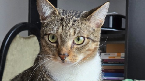 Zdjęcie aktualizacji 161 852