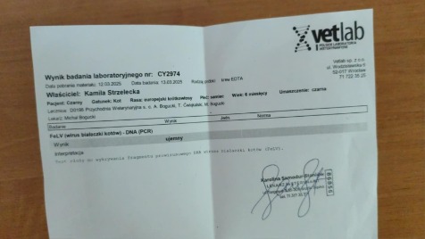 Zdjęcie aktualizacji 161 965