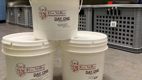 Zdjęcie aktualizacji 161 988