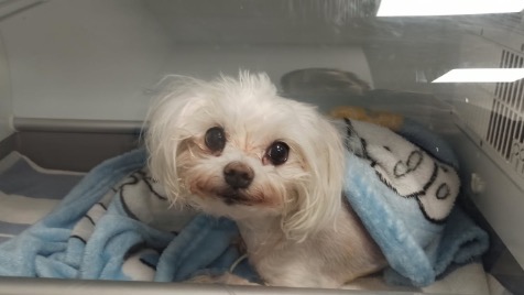 Zdjęcie aktualizacji 162 004