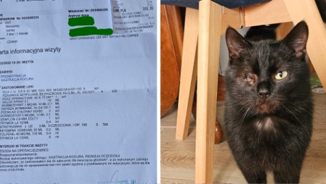 Zdjęcie aktualizacji 162 045