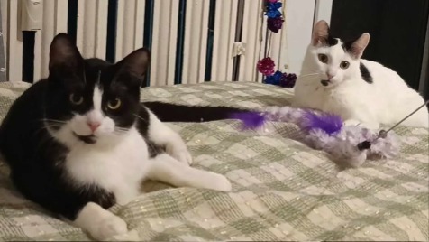 Zdjęcie aktualizacji 162 085