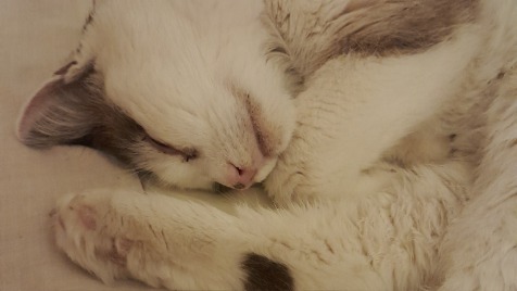 Zdjęcie aktualizacji 162 122