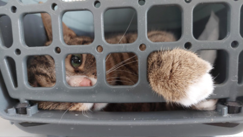 Zdjęcie aktualizacji 162 171