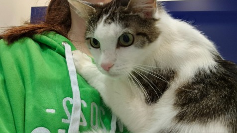 Zdjęcie aktualizacji 162 277