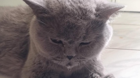 Zdjęcie aktualizacji 162 331