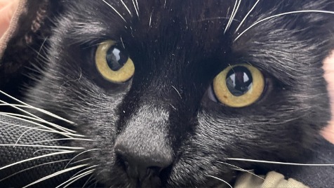 Zdjęcie aktualizacji 162 416