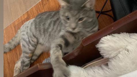 Zdjęcie aktualizacji 162 438