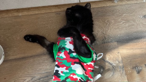 Zdjęcie aktualizacji 162 458