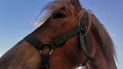 Zdjęcie aktualizacji 162 476