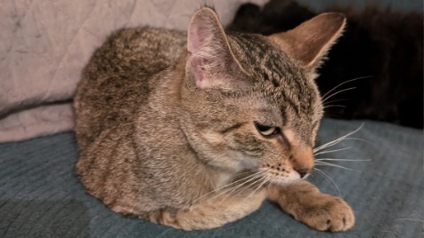 Zdjęcie aktualizacji 162 609