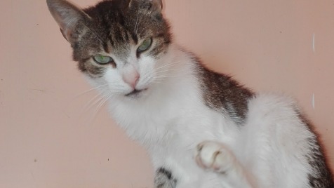 Zdjęcie aktualizacji 16 268