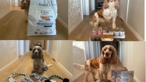 Zdjęcie aktualizacji 162 735