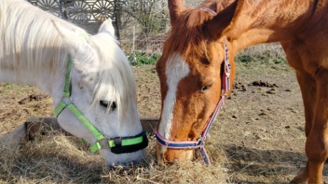 Zdjęcie aktualizacji 163 048