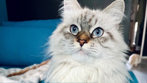 Zdjęcie aktualizacji 163 124