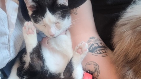 Zdjęcie aktualizacji 164 115