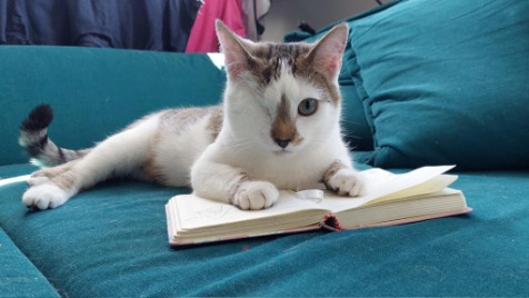 Zdjęcie aktualizacji 164 384