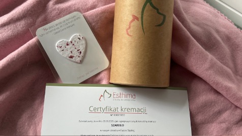 Zdjęcie aktualizacji 164 402