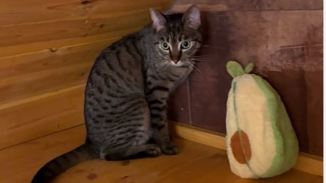 Zdjęcie aktualizacji 164 534