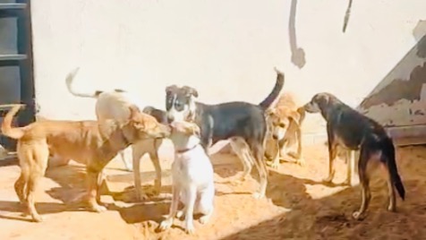 Zdjęcie aktualizacji 164 569