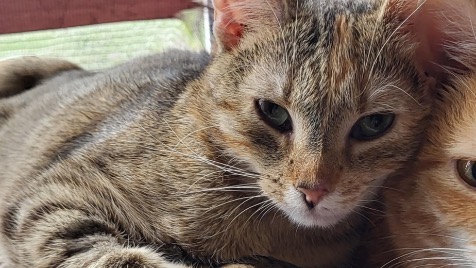 Zdjęcie aktualizacji 165 330