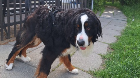 Zdjęcie aktualizacji 165 639