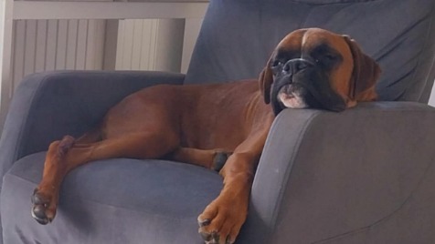 Zdjęcie aktualizacji 166 596