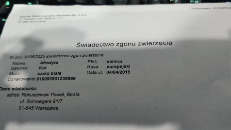 Zdjęcie aktualizacji 167 393