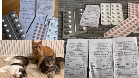 Zdjęcie aktualizacji 167 410